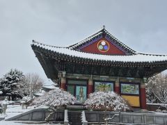 8bdda787747c820665473a7386804f6f_1743743977_0025.jpg 8bdda787747c820665473a7386804f6f_1743743977_0025.jpg