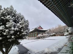 8bdda787747c820665473a7386804f6f_1743743978_0961.jpg 8bdda787747c820665473a7386804f6f_1743743978_0961.jpg