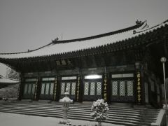 8bdda787747c820665473a7386804f6f_1743743978_9929.jpg 8bdda787747c820665473a7386804f6f_1743743978_9929.jpg