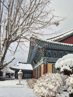 8bdda787747c820665473a7386804f6f_1743743980_7616.jpg 8bdda787747c820665473a7386804f6f_1743743980_7616.jpg